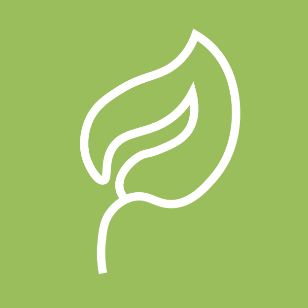 Студенческие экологические отряды Студенческие экологические отряды